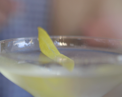 WATCH: How to Make a Classic Vodka Martini With a Lemon Twist