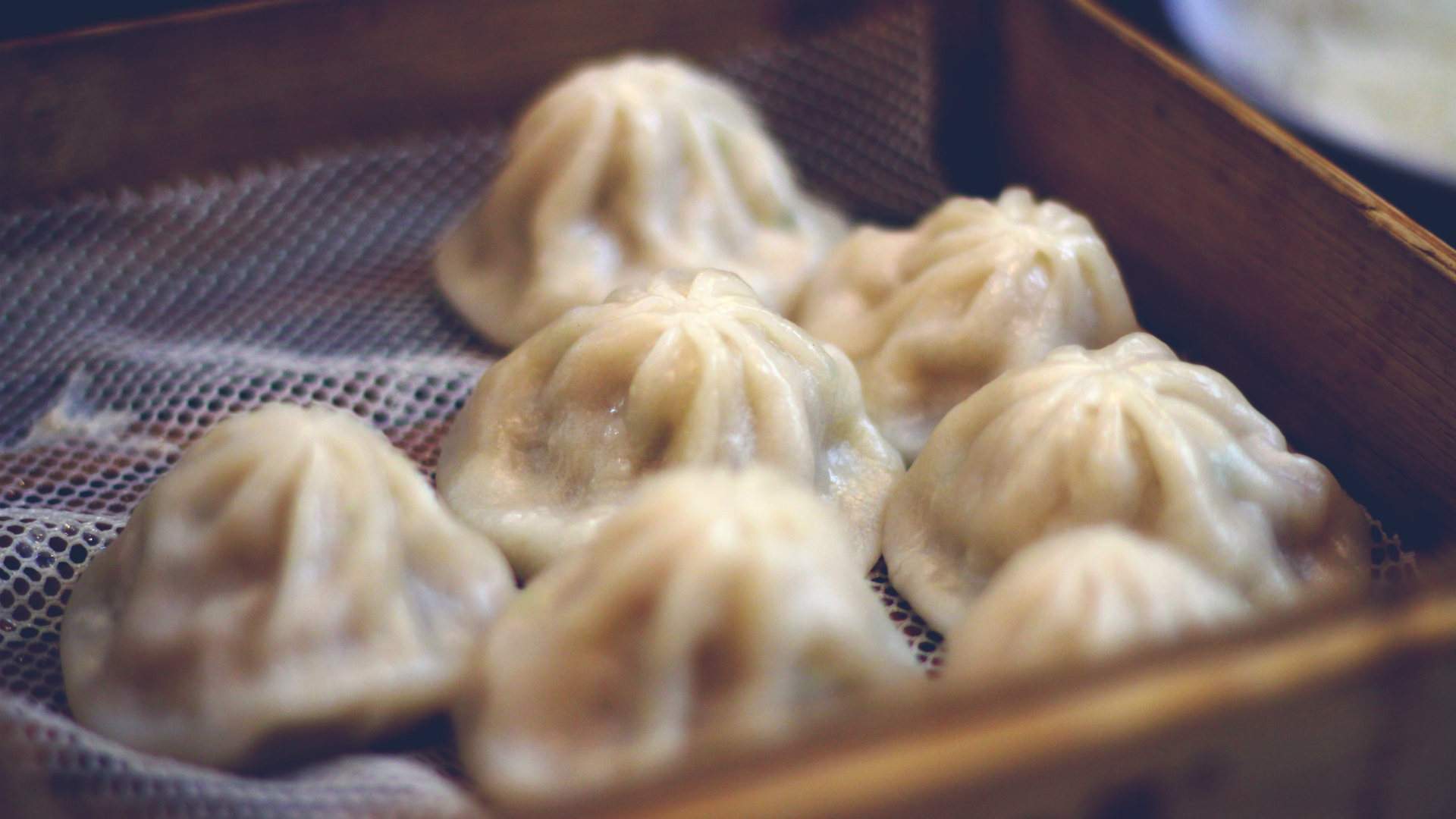 All-You-Can-Eat Dumpling Night