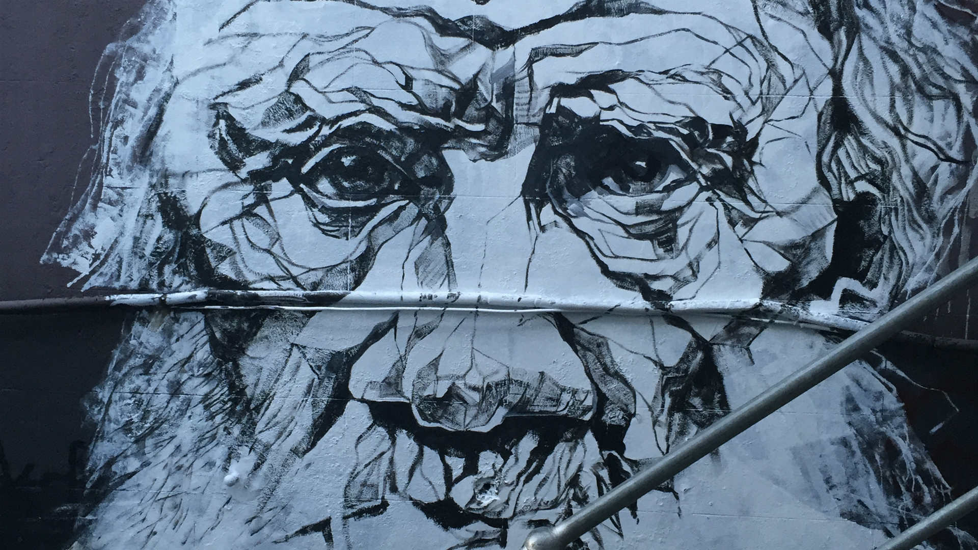 Sydney Street Artist MCRT Is Taking Over the Walls at Paddington's Ampersand