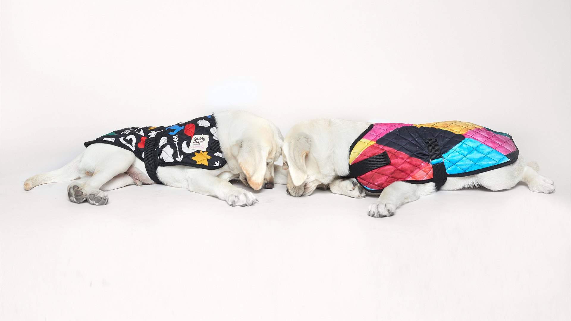 Elk and Gorman Have Just Launched a Charming New Winter Collection for Your Pup
