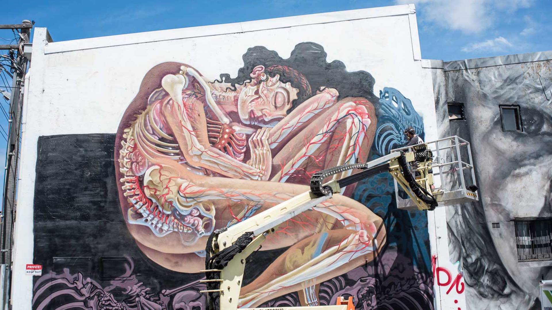 Austrian Street Artist Nychos Unveils Colossal Mural in Sydney