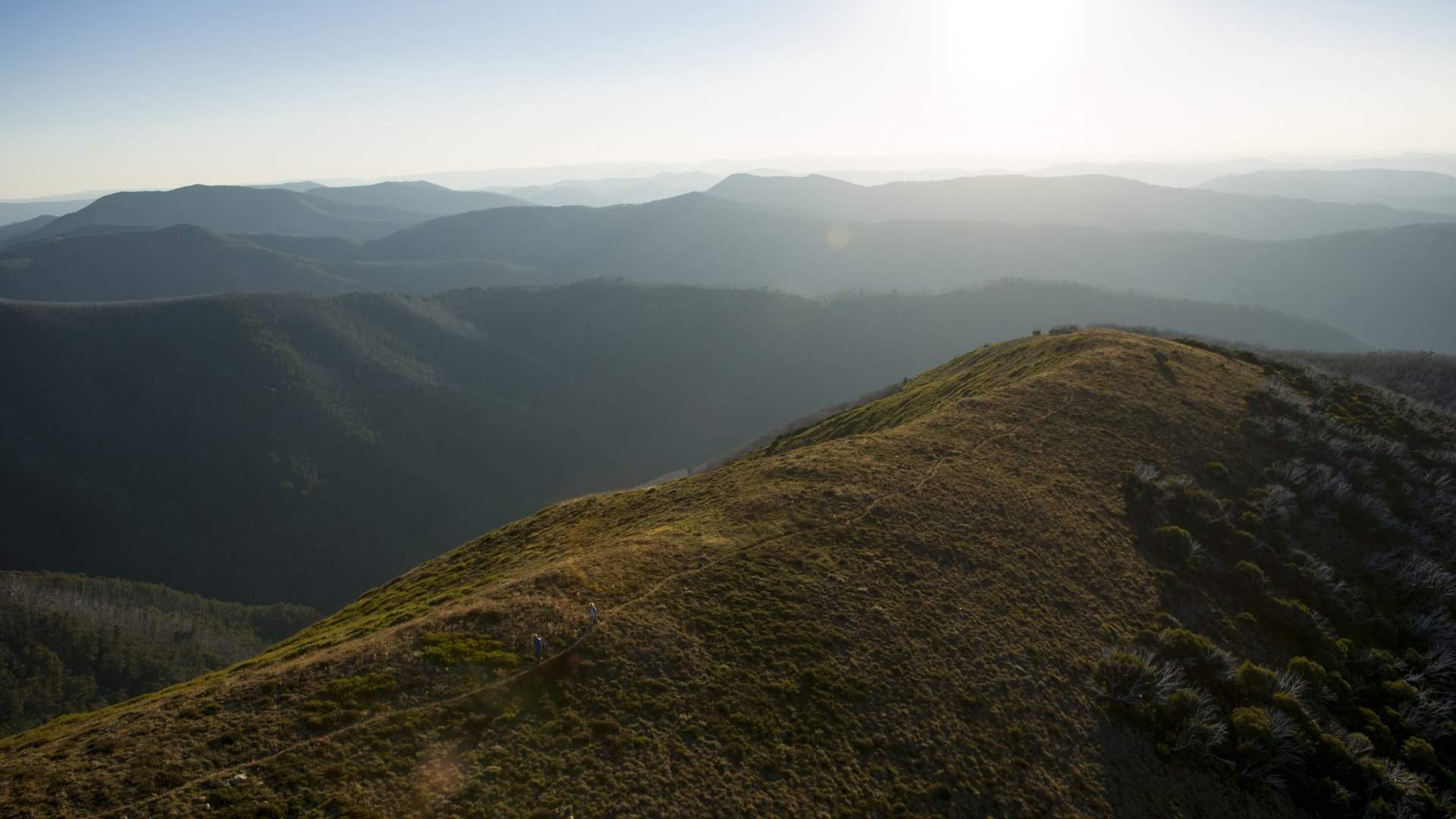 The Seven Best One-Day Hikes Near Melbourne