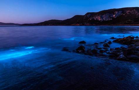 This Australian Beach Has Been Lit Up Bright Blue by 'Sea Sparkle'