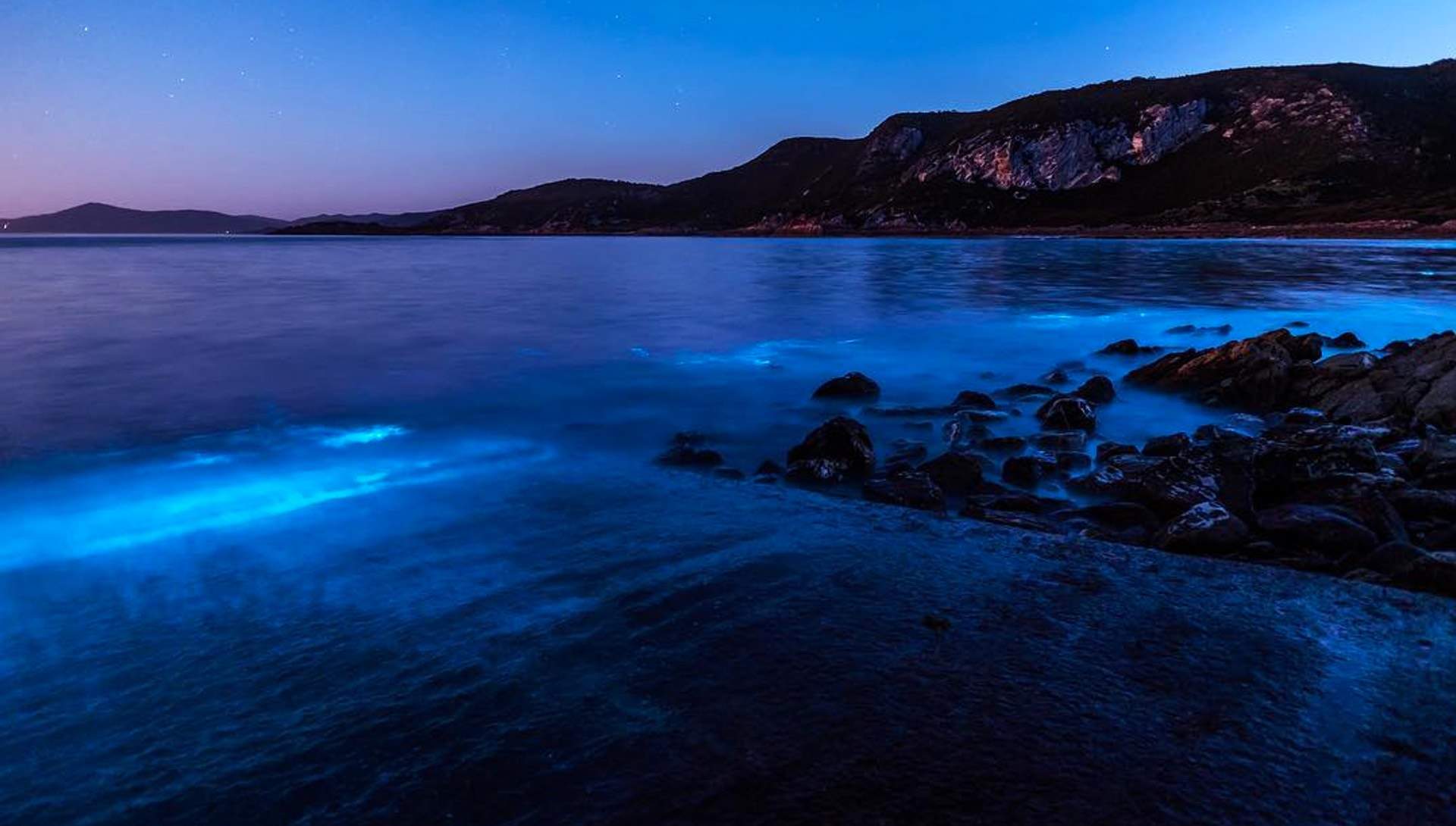 Светящаяся вода. Водоросль ночесветка черное море. Светящиеся водоросли ночесветка. Биолюминесцентный залив - Вьекес, Пуэрто-Рико. Ноктилюка ночесветка.