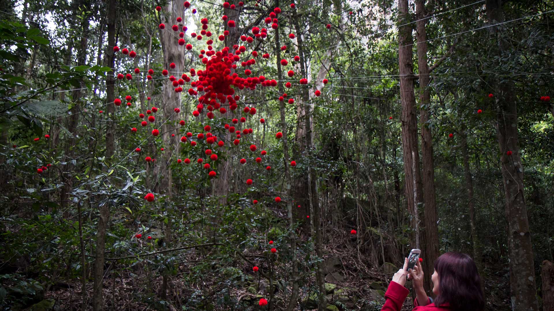 There's a Pop-Up Sculpture Gallery in the Blue Mountains Rainforest