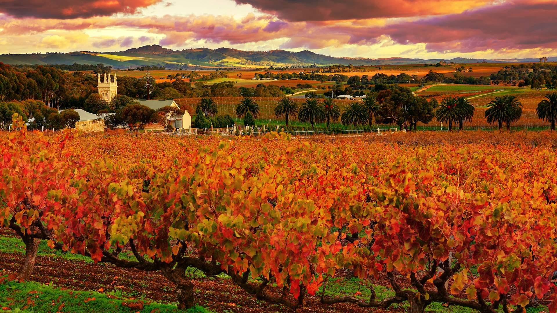 A One-Day Celebration of Barossa Wine and Food Is Coming to Melbourne