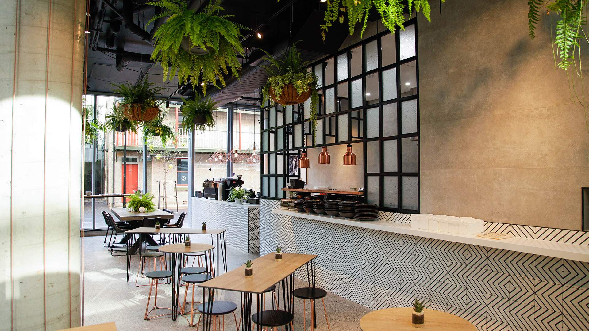 Eco Conscious Cafe Concrete Jungle Brings A Touch Of Greenery To Chippendale Concrete Playground
