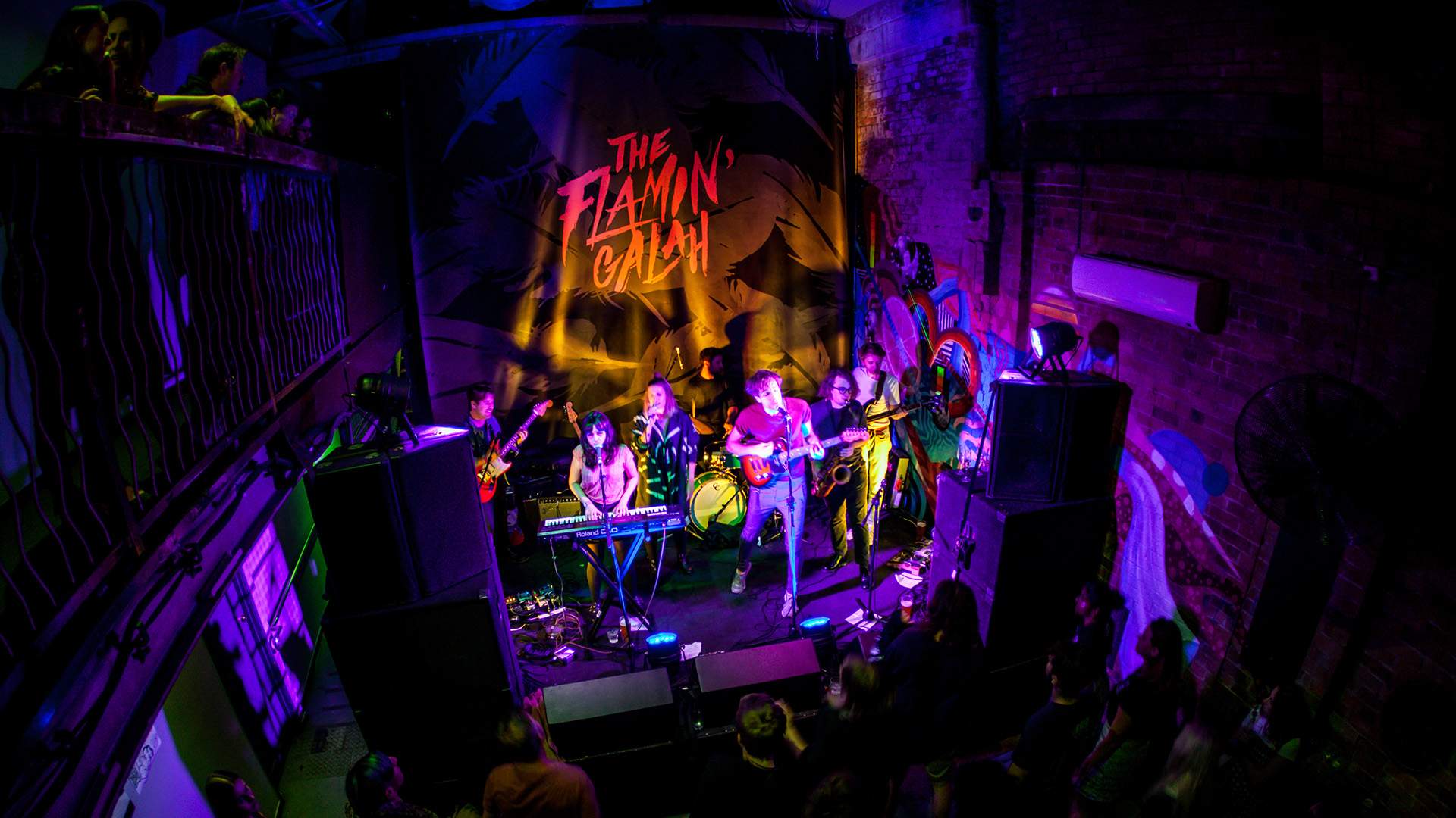 Brisbane Has a New Live Music Venue, The Flamin' Galah