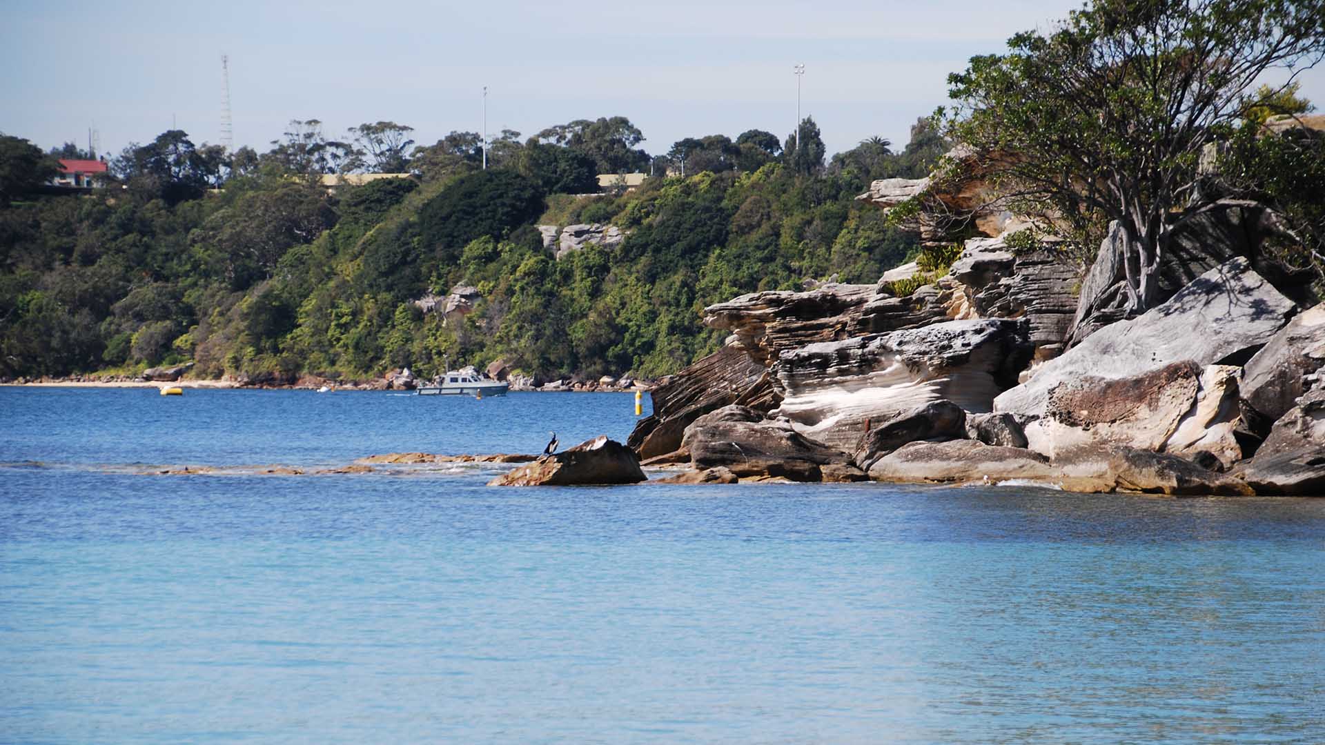 The Ten Best Outdoor Haunts in Sydney's Lower North Shore