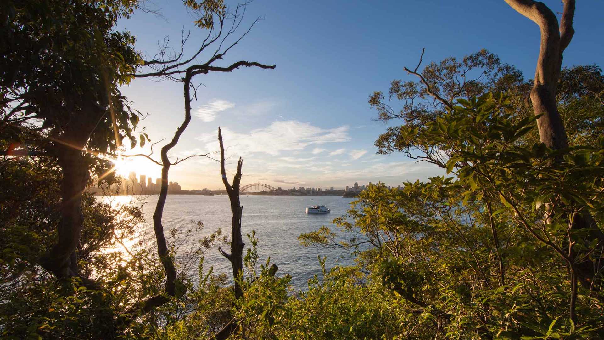 Bushwalking with City Views