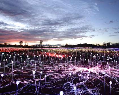 A Weekender's Guide to the Red Centre During Field of Light