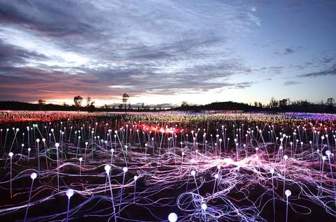 Field of Light