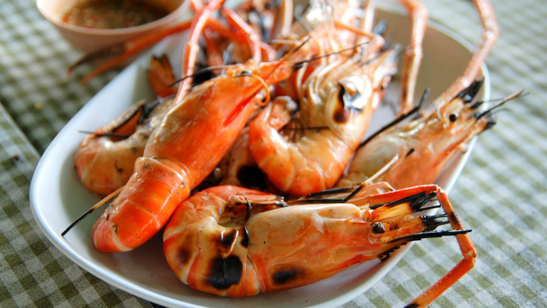 Prawd Peel-Your-Own Prawns at Shorncliffe - Concrete Playground