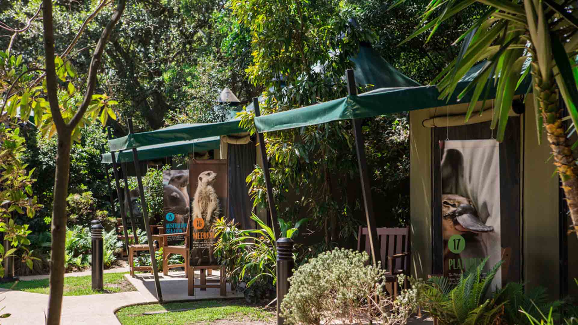 Best glamping NSW, Sydney - Taronga Zoo