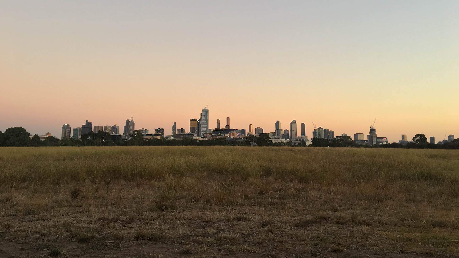 A Sunset Jog Through Royal Park