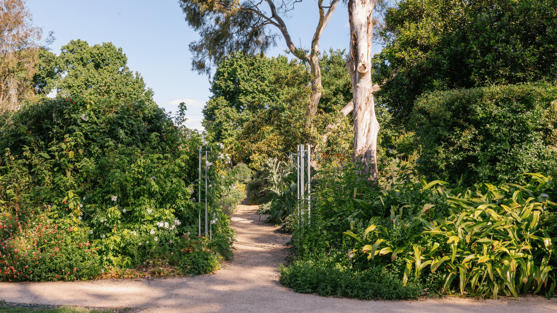 Heide Museum of Modern Art