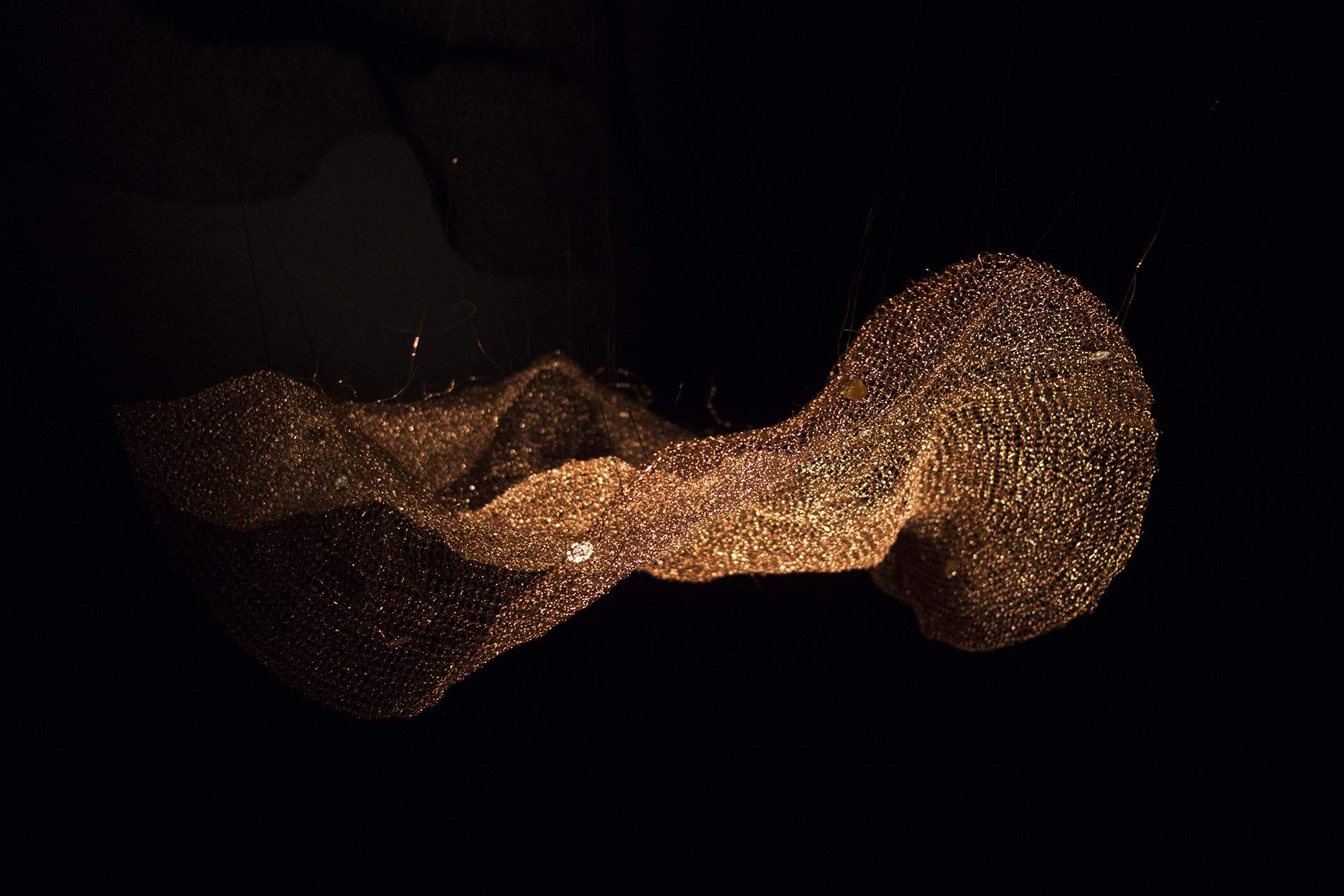 Bisexual Playground: Love, Conflict, and the Untold Stories Within