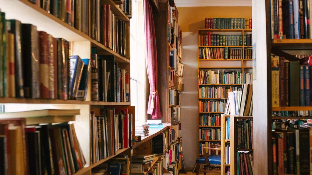 A Hunt for Literary Treasure at Archives Fine Books