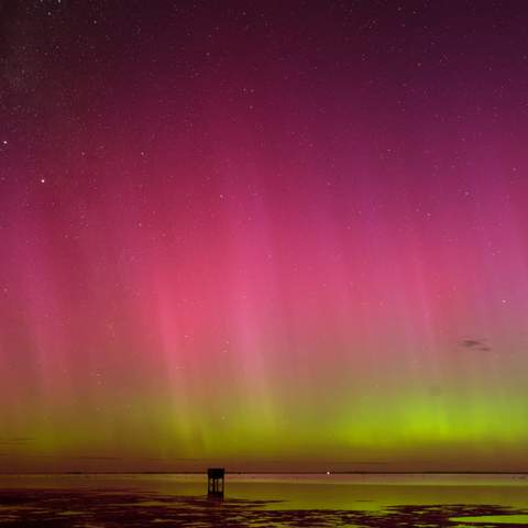 ICYMI Aurora Australis Lit Up Australian and New Zealand Skies This Week