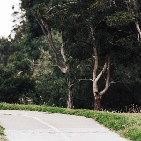 Merri Creek Trail