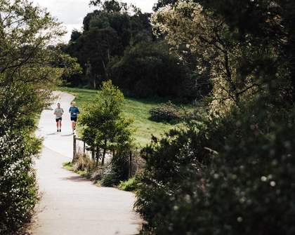 Nine of the Best Walks Around Metro Melbourne