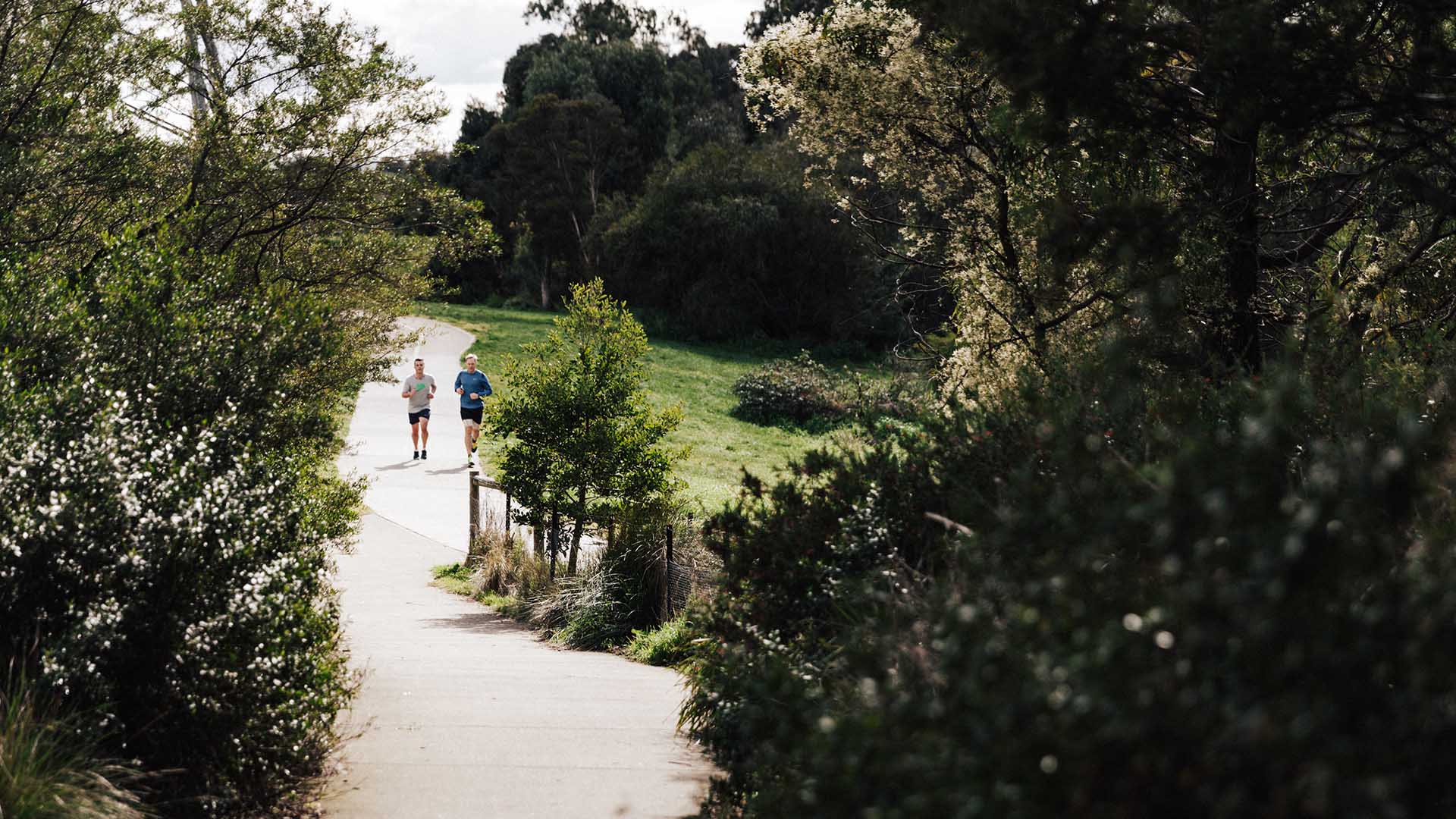 Nine of the Best Walks Around Metro Melbourne