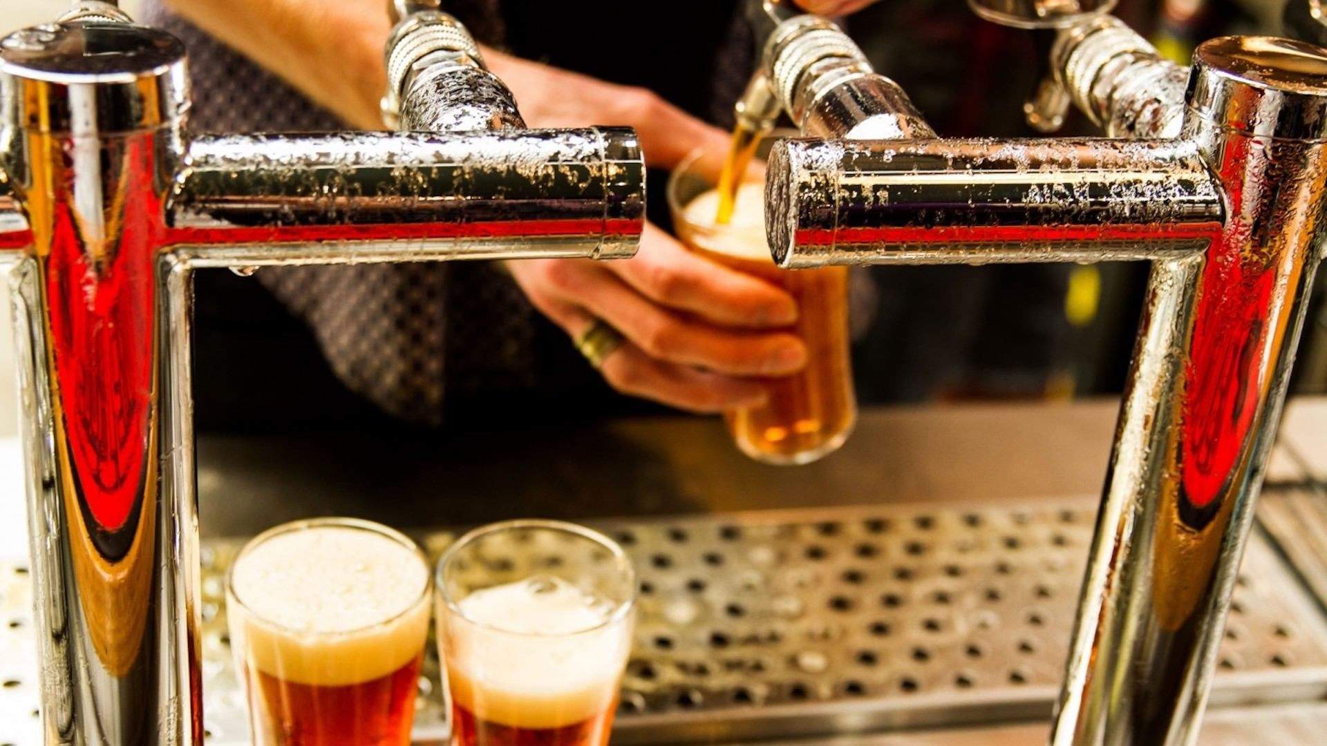 Pints of beer being poured at Young Henrys in Sydney, Newtown.