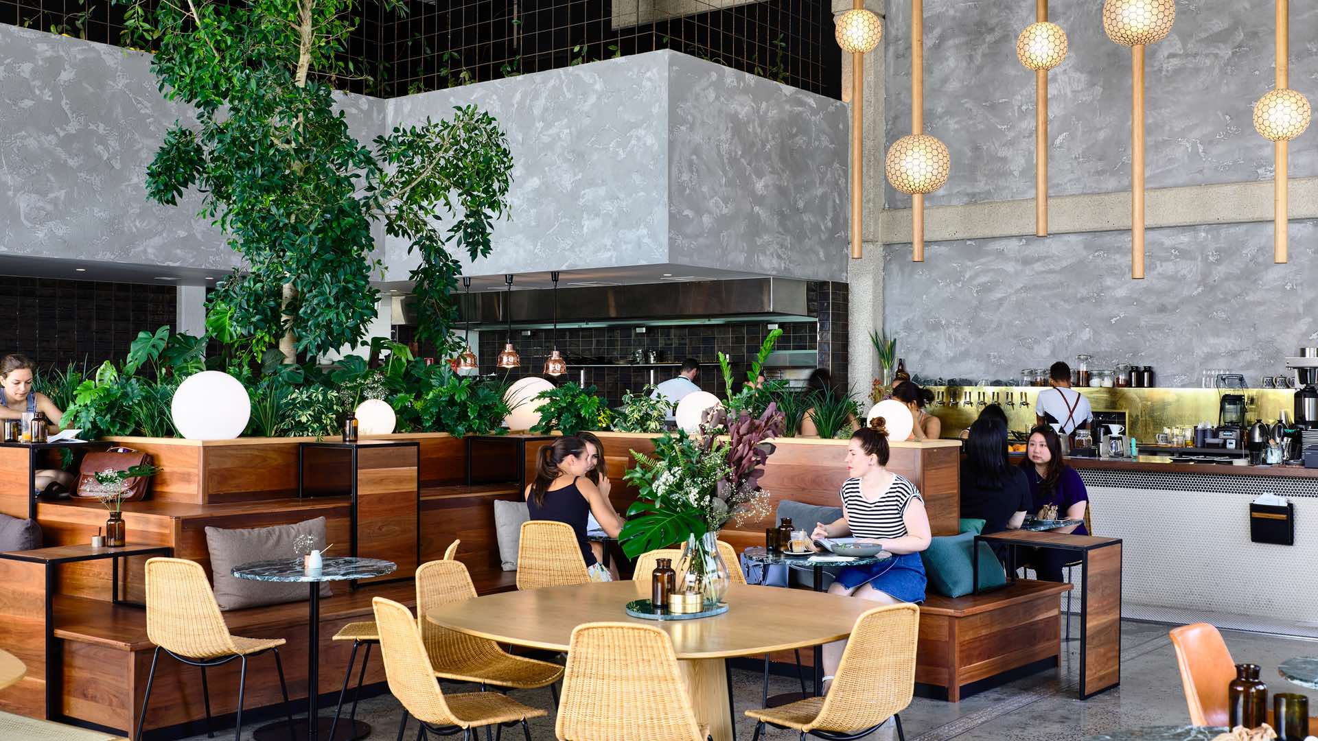 Melbourne's Best New Cafes of 2017 - Concrete Playground