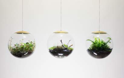 Background image for These Terrarium Lights Add a Mini Hanging Garden to Any Room