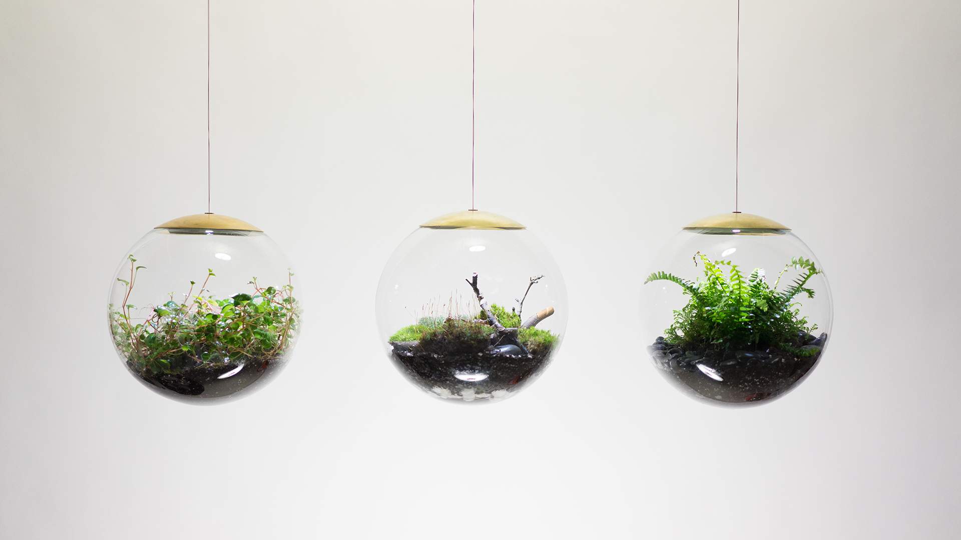 These Terrarium Lights Add a Mini Hanging Garden to Any Room