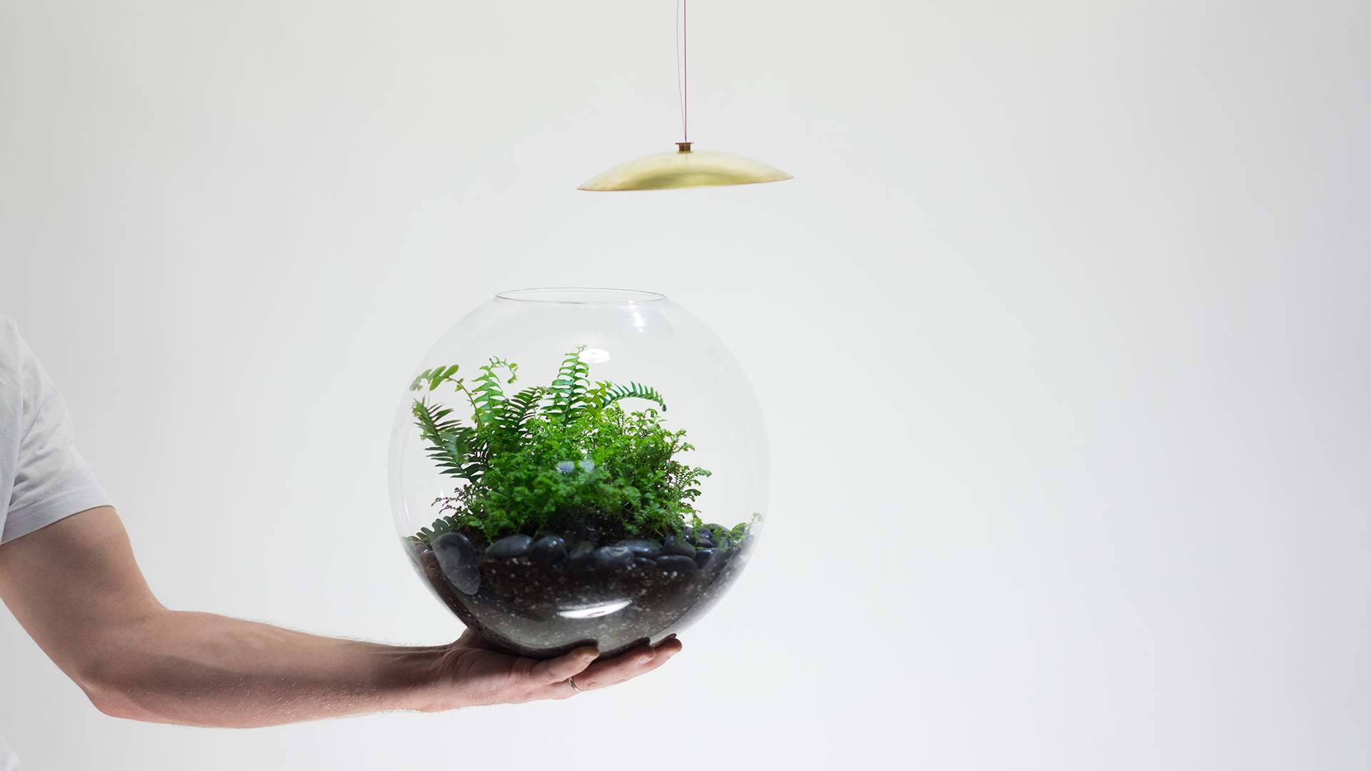 These Terrarium Lights Add a Mini Hanging Garden to Any Room