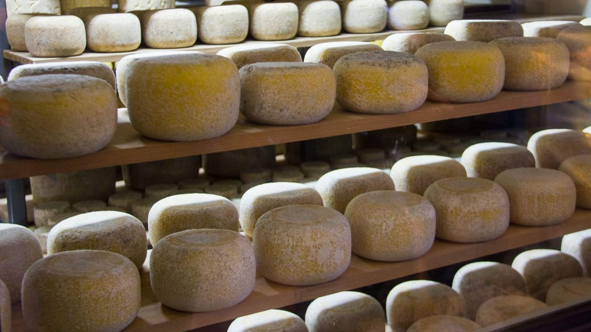Melbourne's Getting a New Festival Dedicated to Australian Cheese