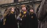 Potter Party — All-Night 'Harry Potter' Marathon
