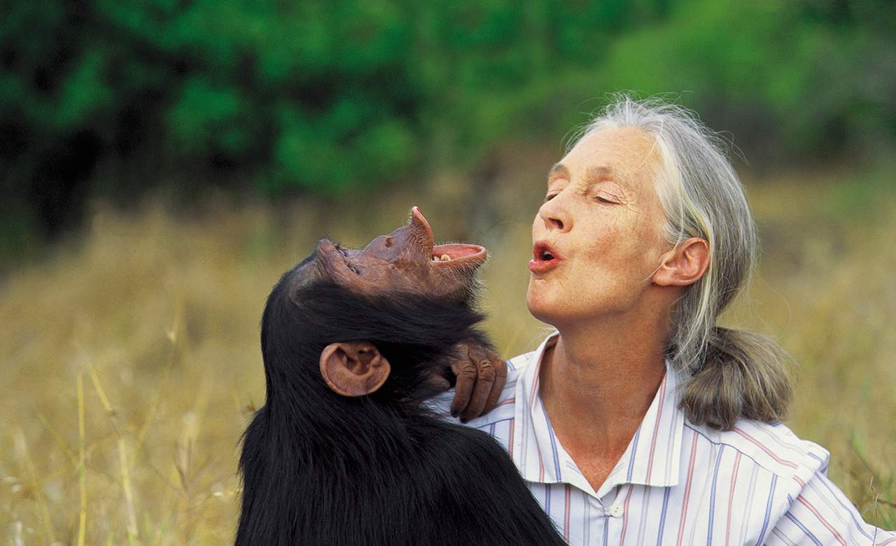 An Evening with Dr Jane Goodall