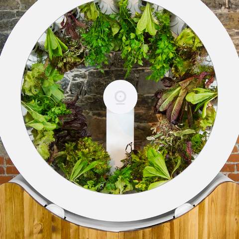 This Spinning Indoor Garden Brings a Veggie Patch to Any Space