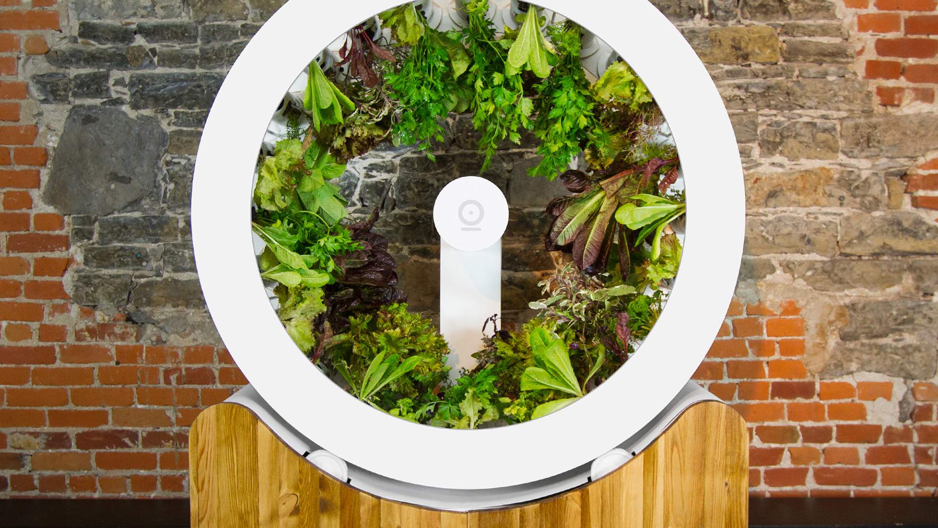 This Spinning Indoor Garden Brings a Veggie Patch to Any Space