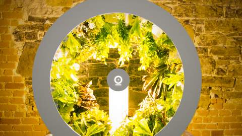 This Spinning Indoor Garden Brings a Veggie Patch to Any Space