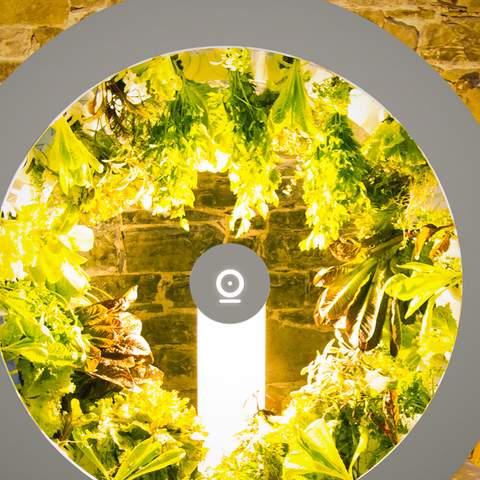 This Spinning Indoor Garden Brings a Veggie Patch to Any Space