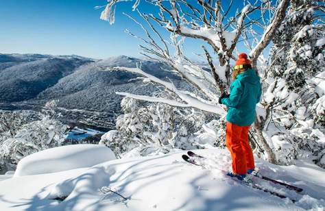 Regional Holidays within NSW Will Be Allowed from June 1