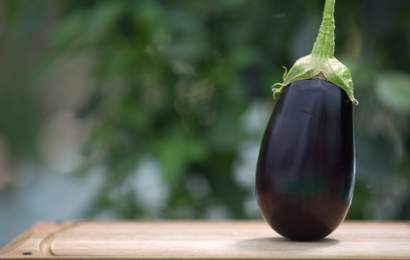 Background image for This New Service Lets You Send People Anonymous Eggplants for Some Reason
