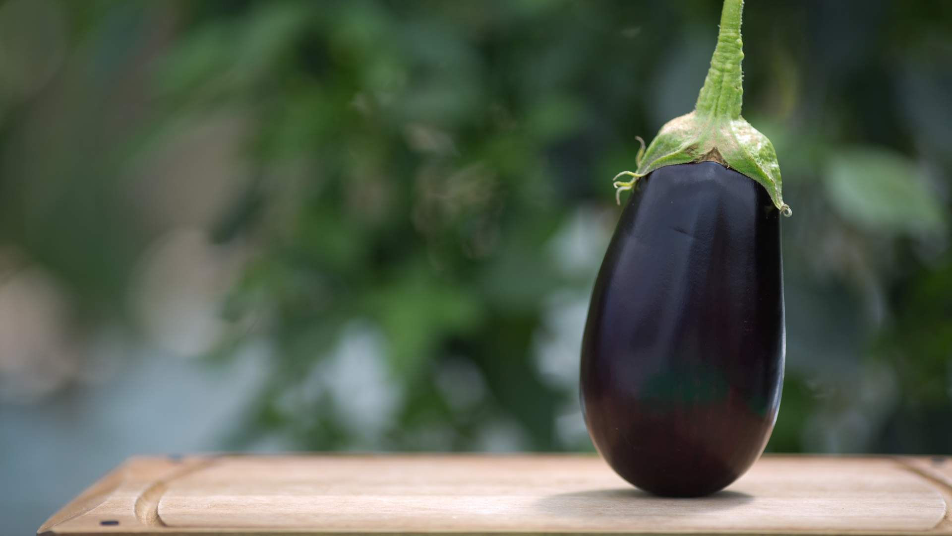 This New Service Lets You Send People Anonymous Eggplants for Some Reason