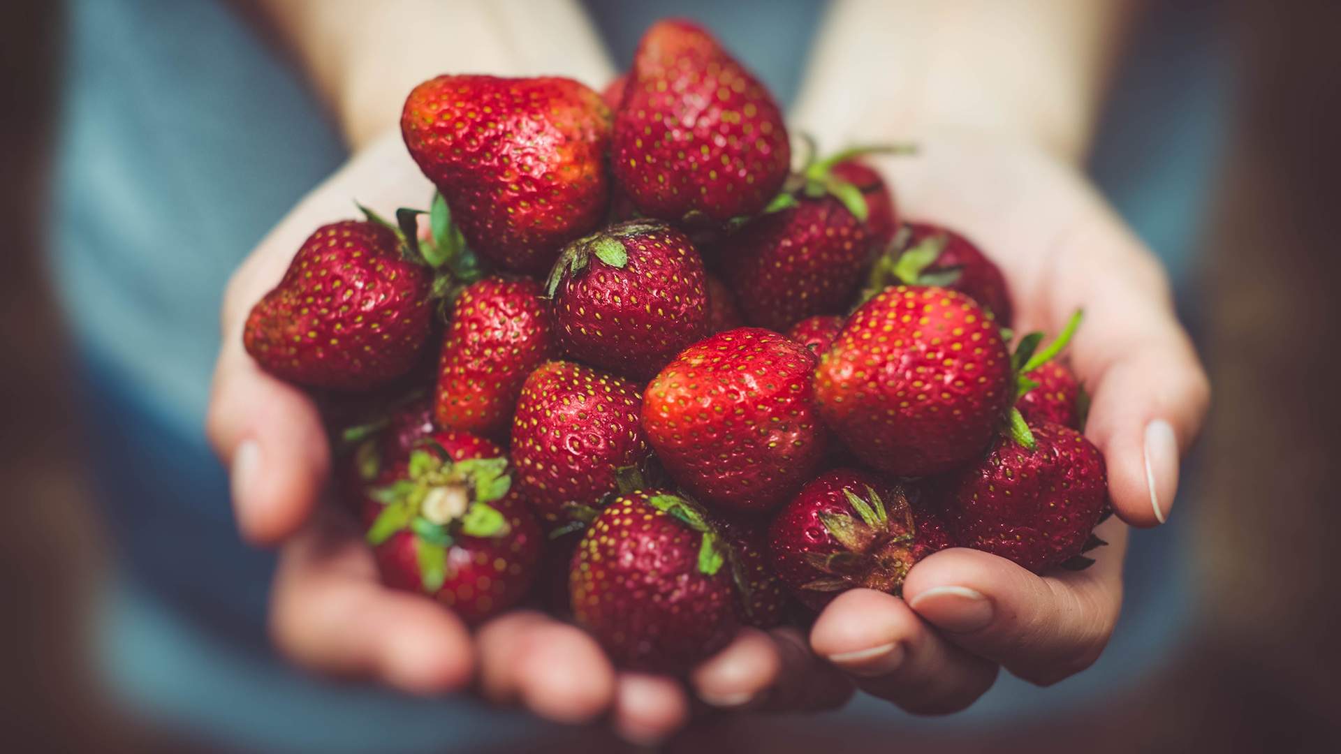 Sandstone Point Hotel's Strawberry Festival 2018