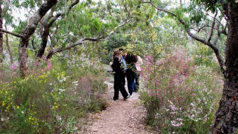 Muogamarra Nature Reserve Open Season