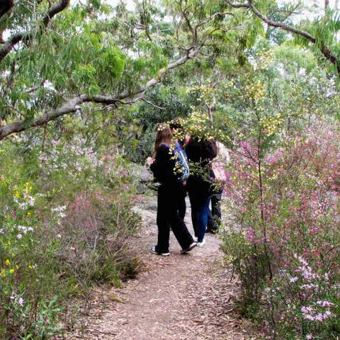 Muogamarra Nature Reserve Open Season