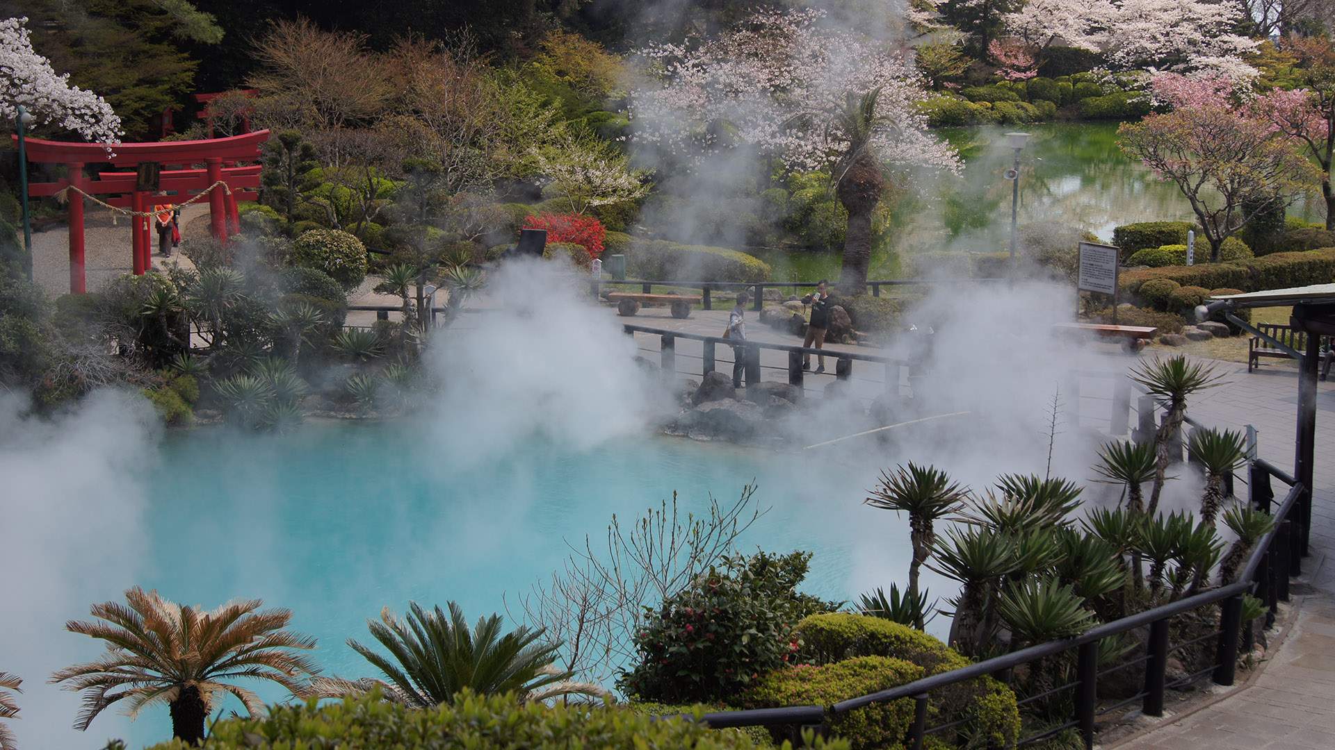 A Hot Tub Amusement Park Popped Up in Japan