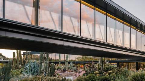 Madrid's Massive New Cactus Garden Is a Succulent-Lover's Dream