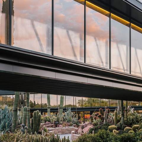 Madrid's Massive New Cactus Garden Is a Succulent-Lover's Dream