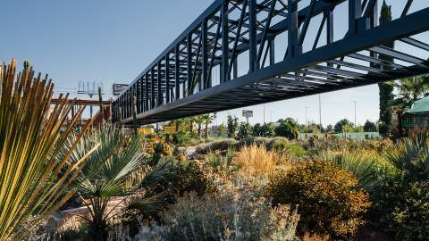 Madrid's Massive New Cactus Garden Is a Succulent-Lover's Dream