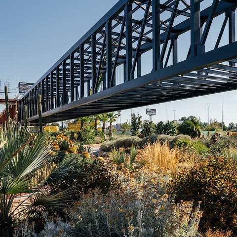 Madrid's Massive New Cactus Garden Is a Succulent-Lover's Dream