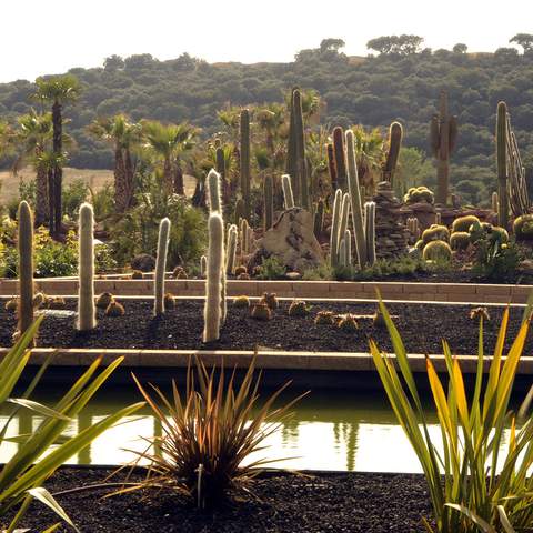 Madrid's Massive New Cactus Garden Is a Succulent-Lover's Dream